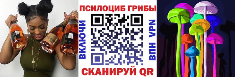 наркота  Ачинск  Псилоцибиновые грибы ЛСД 